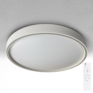 Brilagi - LED-hämardatav laelamp NANCI LED/60W/230V 3000–6500K läbimõõt 49 cm hõbedane + kaugjuhtimispult