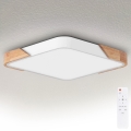 Brilagi - LED hämardatav laelamp PILANA LED/60W/230V 3000-6500K tamm/valge 56x56 cm + kaugjuhtimispult