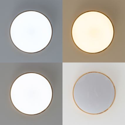 Brilagi - LED hämardatav laelamp PINE LED/60W/230V läbimõõt 52 cm 3000-6500K + kaugjuhtimispult