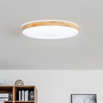 Brilagi - LED-hämardatav laelamp PINE LED/60W/230V puidust, Ø 52 cm 3000-6500K + kaugjuhtimispult