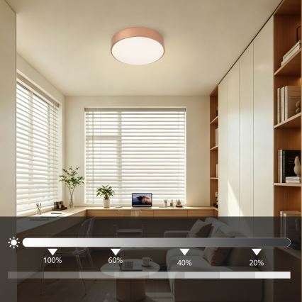 BRILAGI - hämardatav LED-laelamp POOL LED/24W/230V 3000-6000K pr. 20 cm vaskne + kaugjuhtimispult