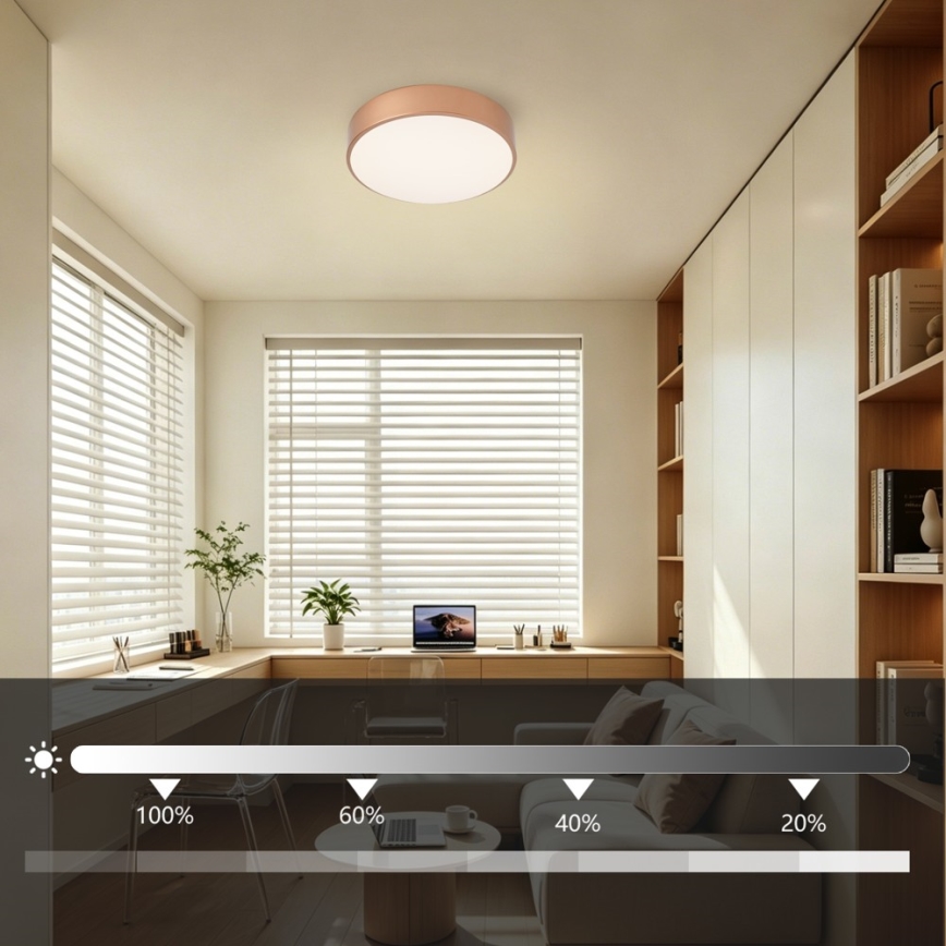 BRILAGI - hämardatav LED-laelamp POOL LED/24W/230V 3000-6000K pr. 20 cm vaskne + kaugjuhtimispult