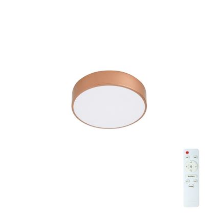 BRILAGI - hämardatav LED-laelamp POOL LED/24W/230V 3000-6000K pr. 20 cm vaskne + kaugjuhtimispult