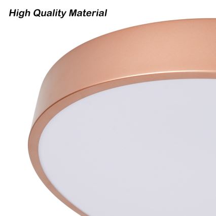 BRILAGI - hämardatav LED-laelamp POOL LED/24W/230V 3000-6000K pr. 20 cm vaskne + kaugjuhtimispult