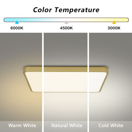 Brilagi - LED-hämardatav laelamp POOL LED/36W/230V 3000-6000K 40x40 cm kuldne + kaugjuhtimispult