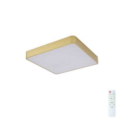 Brilagi - LED-hämardatav laelamp POOL LED/36W/230V 3000-6000K 40x40 cm kuldne + kaugjuhtimispult