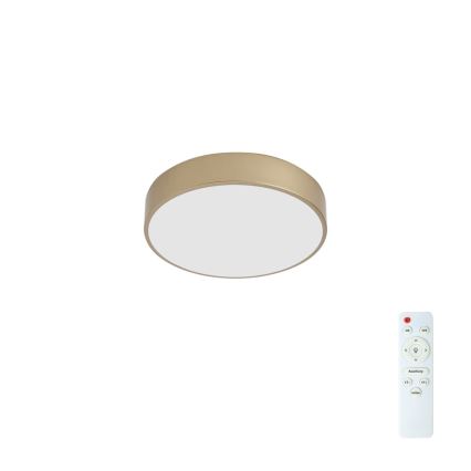 BRILAGI - LED-hämardatav laelamp POOL LED/36W/230V 3000-6000K läbimõõt 30 cm kuldne + kaugjuhtimispult