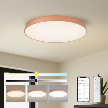 BRILAGI - LED-hämardatav laelamp POOL SMART LED/100 W/230 V 3000–6000 K Ø 80 cm Wi‑Fi Tuya pronks + kaugjuhtimispult