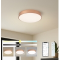 BRILAGI - LED hämardatav laelamp POOL SMART LED/48W/230V 3000-6000K läbimõõt 40 cm Wi-Fi Tuya vaskne + kaugjuhtimispult