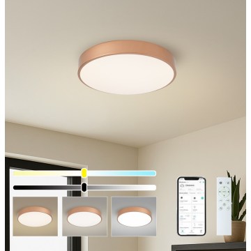 BRILAGI - LED hämardatav laelamp POOL SMART LED/48W/230V 3000-6000K läbimõõt 40 cm Wi-Fi Tuya vaskne + kaugjuhtimispult