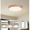 BRILAGI - LED-hämardatav laelamp POOL SMART LED/60W/230V 3000-6000K pr. 50 cm Wi-Fi Tuya vaskne + kaugjuhtimispult