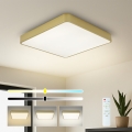 BRILAGI - LED-hämardatav laelamp POOL SQUARE LED/36W/230V 3000-6000K 40x40 cm kuldne + kaugjuhtimispult