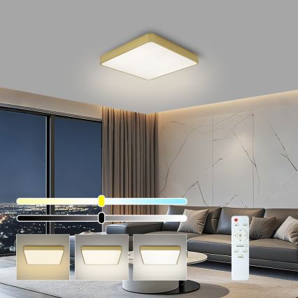 BRILAGI - LED-hämardatav laelamp POOL SQUARE LED/36W/230V 3000-6000K 40x40 cm kuldne + kaugjuhtimispult