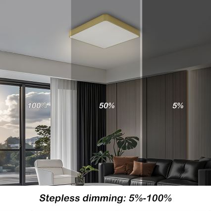 BRILAGI - LED-hämardatav laelamp POOL SQUARE LED/36W/230V 3000-6000K 40x40 cm kuldne + kaugjuhtimispult