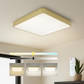 BRILAGI - LED hämardatav laelamp POOL SQUARE LED/48W/230V 3000-6000K 50x50 cm kuldne + kaugjuhtimispult