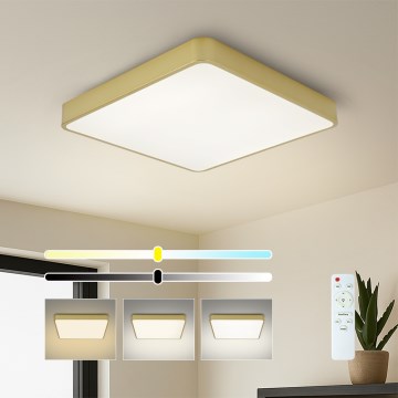 BRILAGI - LED hämardatav laelamp POOL SQUARE LED/48W/230V 3000-6000K 50x50 cm kuldne + kaugjuhtimispult