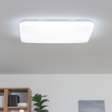 Brilagi - LED hämardatav laelamp SHINE LED/24W/230V läbimõõt 60 cm 3000/4000/6500K kreemjas + kaugjuhtimispult