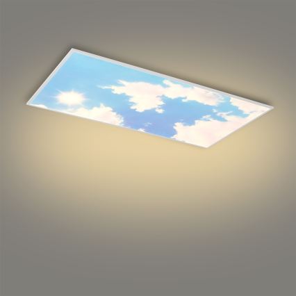 Brilagi - LED hämardatav laelamp SLIMFRAME LED/80W/230V 120x60 cm 3000-6000K hõbe/sinine + kaugjuhtimispult