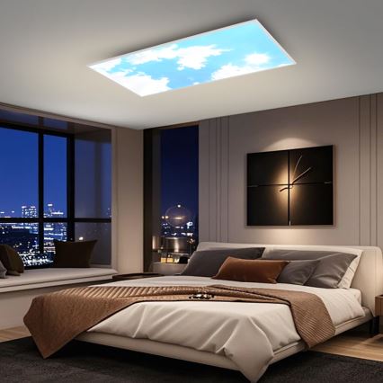 Brilagi - LED hämardatav laelamp SLIMFRAME LED/80W/230V 120x60 cm 3000-6000K hõbe/sinine + kaugjuhtimispult