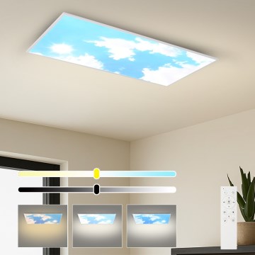 Brilagi - LED hämardatav laelamp SLIMFRAME SKY LED/80W/230V 120x60 cm 3000-6000K hõbe/sinine + kaugjuhtimispult
