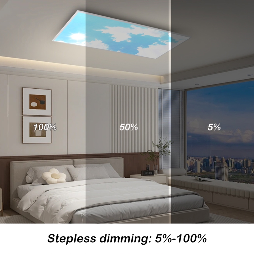 Brilagi - LED hämardatav laelamp SLIMFRAME SKY LED/80W/230V 120x60 cm 3000-6000K hõbe/sinine + kaugjuhtimispult