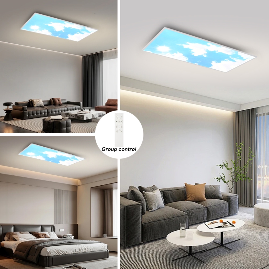 Brilagi - LED hämardatav laelamp SLIMFRAME SKY LED/80W/230V 120x60 cm 3000-6000K hõbe/sinine + kaugjuhtimispult