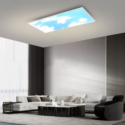 Brilagi - LED hämardatav laelamp SLIMFRAME SKY LED/80W/230V 120x60 cm 3000-6000K hõbe/sinine + kaugjuhtimispult