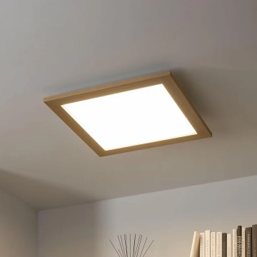 Brilagi - LED hämardatav laelamp SLIMFRAME WOOD LED/36W/230V 49,5x49,5 cm 3000-6000K pruun + kaugjuhtimispult