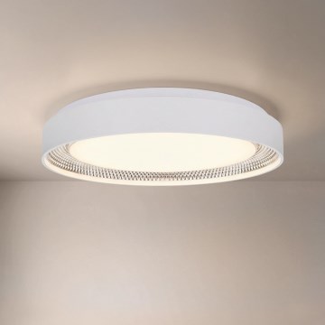 Brilagi - LED hämardatav laelamp WALDO LED/48W/230V 3000-6500K läbimõõt 40 cm valge/hõbedane + kaugjuhtimispult
