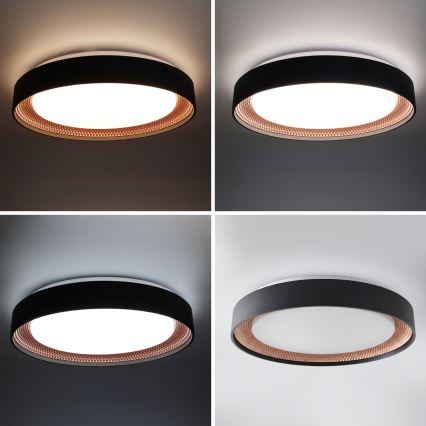 Brilagi - Hämardatav LED-laelamp WALDO LED/48W/230V 3000-6500K läbimõõt 40 cm must/kuldne + kaugjuhtimispult