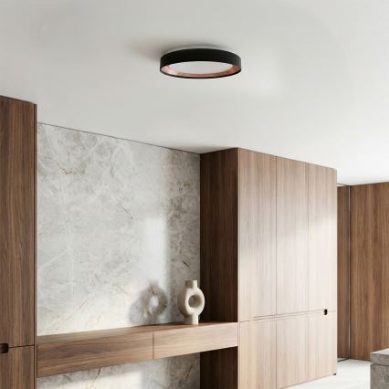 Brilagi - Hämardatav LED-laelamp WALDO LED/48W/230V 3000-6500K läbimõõt 40 cm must/kuldne + kaugjuhtimispult