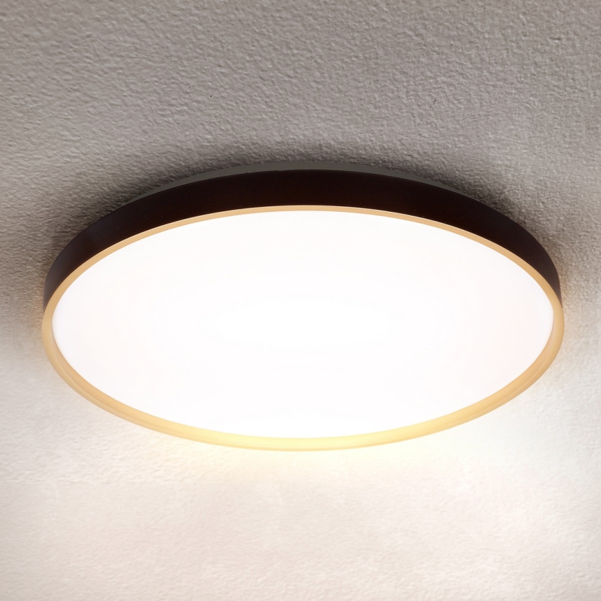Brilagi - LED hämardatav laelamp CALA LED/60W/230V 3000-6500K, läbimõõt 58 cm + kaugjuhtimispult