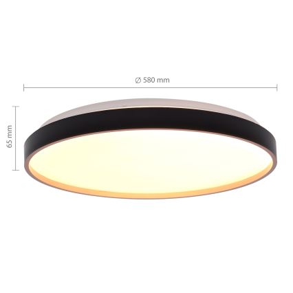 Brilagi - LED hämardatav laelamp CALA LED/60W/230V 3000-6500K, läbimõõt 58 cm + kaugjuhtimispult