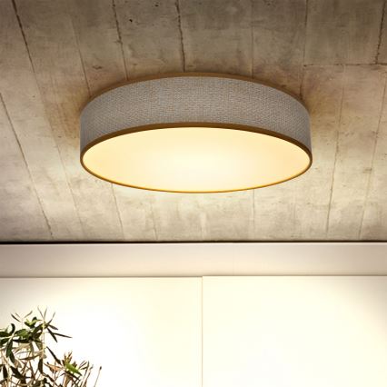 Brilagi - LED Hämardatav laevalgusti CARMEN LED/48W/230V 3000-6500K d. 40 cm + kaugjuhtimispult