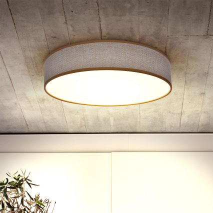 Brilagi - LED Hämardatav laevalgusti CARMEN LED/48W/230V 3000-6500K d. 40 cm + kaugjuhtimispult