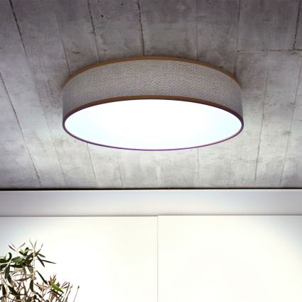 Brilagi - LED Hämardatav laevalgusti CARMEN LED/48W/230V 3000-6500K d. 40 cm + kaugjuhtimispult