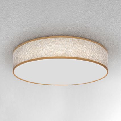 Brilagi - LED Hämardatav laevalgusti CARMEN LED/48W/230V 3000-6500K d. 40 cm + kaugjuhtimispult