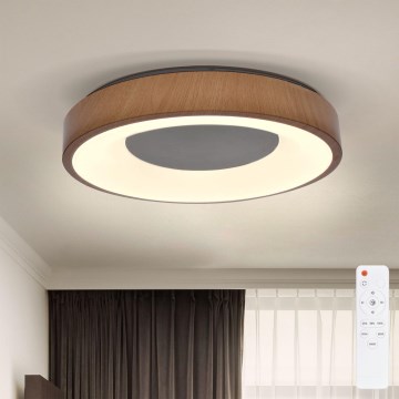 Brilagi - LED Hämardatav laevalgusti DORIA LED/48W/230V 3000-6500K d. 39 cm + kaugjuhtimispult