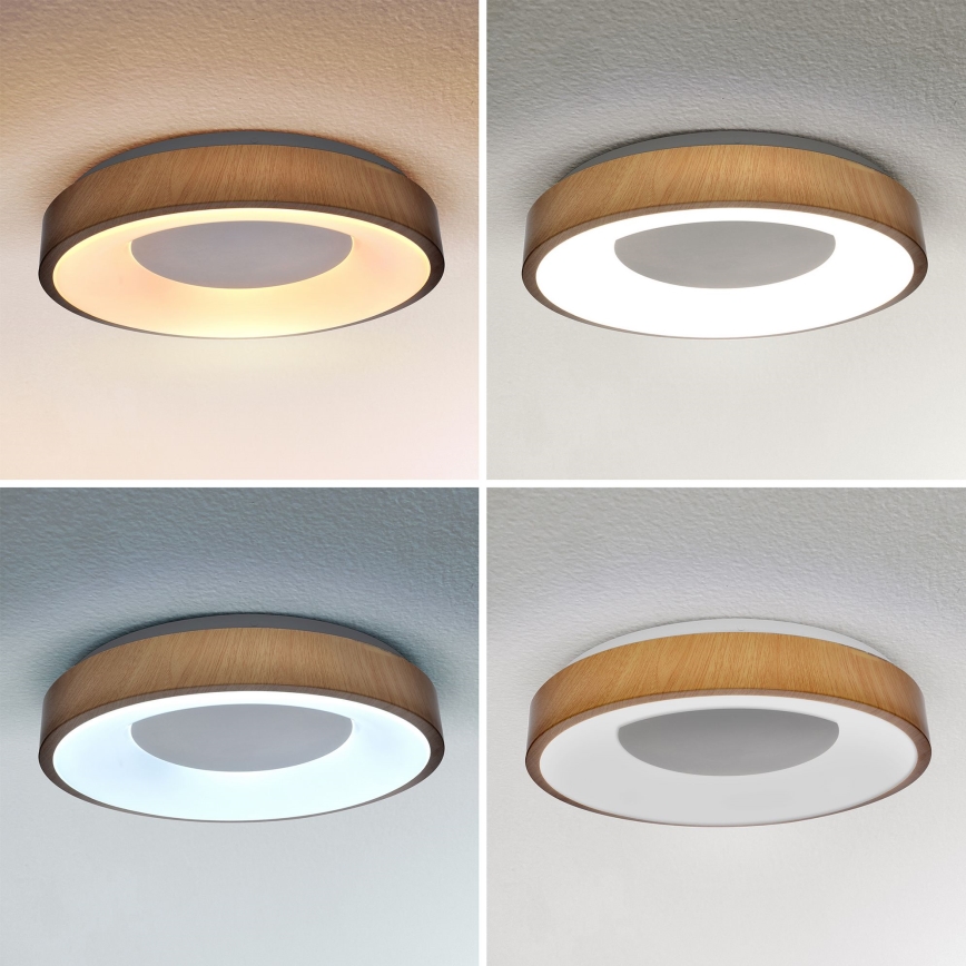 Brilagi - LED Hämardatav laevalgusti DORIA LED/48W/230V 3000-6500K d. 39 cm + kaugjuhtimispult