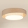 Brilagi - LED Hämardatav laevalgusti DOVER SHINE LED/24W/230V 3000/4000/6500K hall/kreemikas + kaugjuhtimispult