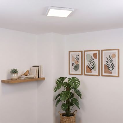 Brilagi - hämardatav LED-laelamp ESTELA SQUARE LED/36W/230V 3000-6500K 31x31 cm valge + kaugjuhtimispult