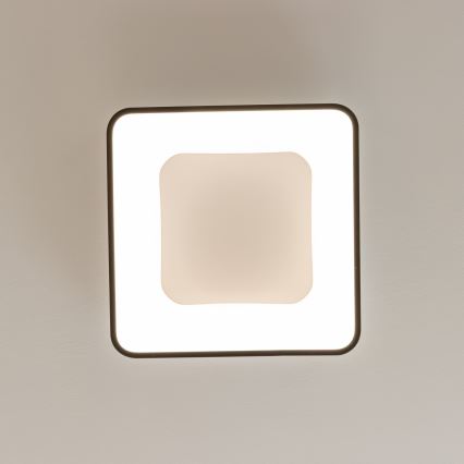 Brilagi - LED hämardatav laevalgusti FALCON II LED/80W/230V 3000-6500K 40x40 cm must + kaugjuhtimispult