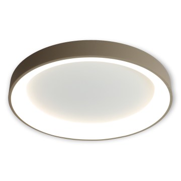 BRILAGI - LED hämardatav laevalgusti FALCON II LED/99W/230V 3000-6500K läbimõõt 60 cm valge/beež + kaugjuhtimispult