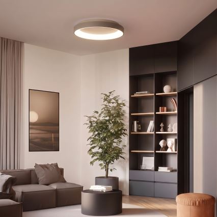 BRILAGI - LED hämardatav laevalgusti FALCON II LED/99W/230V 3000-6500K läbimõõt 60 cm valge/beež + kaugjuhtimispult