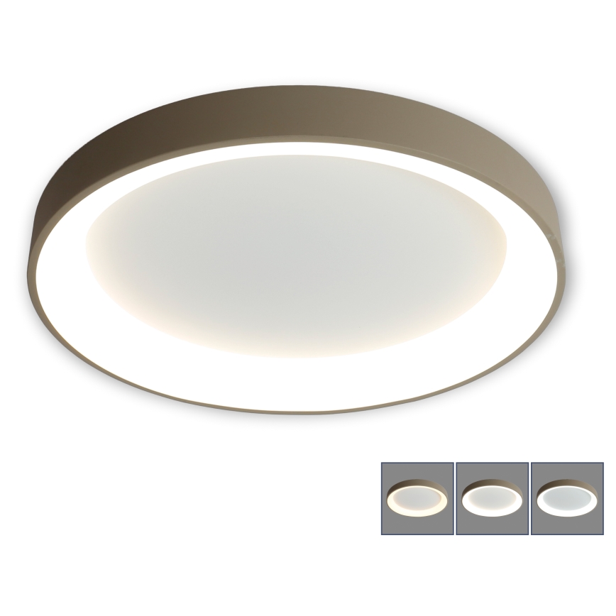 BRILAGI - LED hämardatav laevalgusti FALCON II LED/99W/230V 3000-6500K läbimõõt 60 cm valge/beež + kaugjuhtimispult