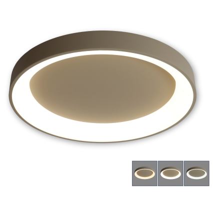BRILAGI - LED hämardatav laelamp FALCON II LED/99W/230V 3000-6500K läbimõõt 60 cm beež + kaugjuhtimispult
