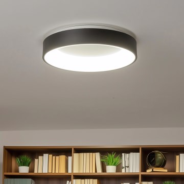 Brilagi - LED Hämardatav laevalgusti FALCON LED/40W/230V 3000-6500K läbimõõt 45 cm must + kaugjuhtimispult