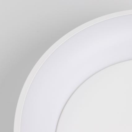 Brilagi - hämardatav LED-laelamp FALCON LED/80W/230V 3000-6500K läbimõõt 60 cm valge + kaugjuhtimispult