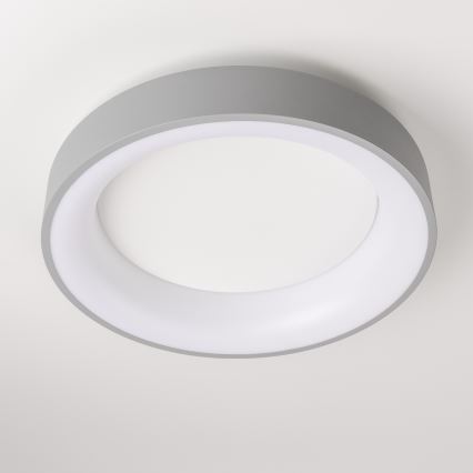 Brilagi - LED-hämardatav laelamp FALCON LED/80W/230V 3000-6500K, läbimõõt 60 cm, hall + kaugjuhtimispult