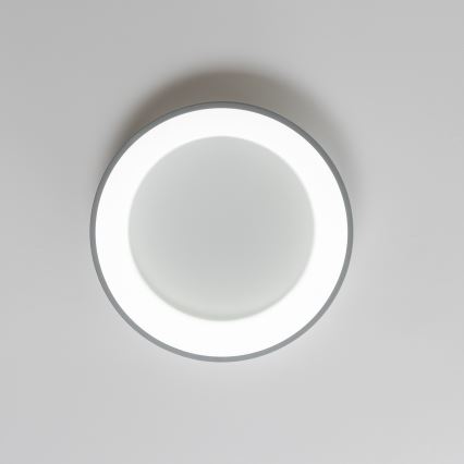 Brilagi - LED Hämardatav laevalgusti FALCON LED/80W/230V 3000-6500K d. 60 cm hall + pult